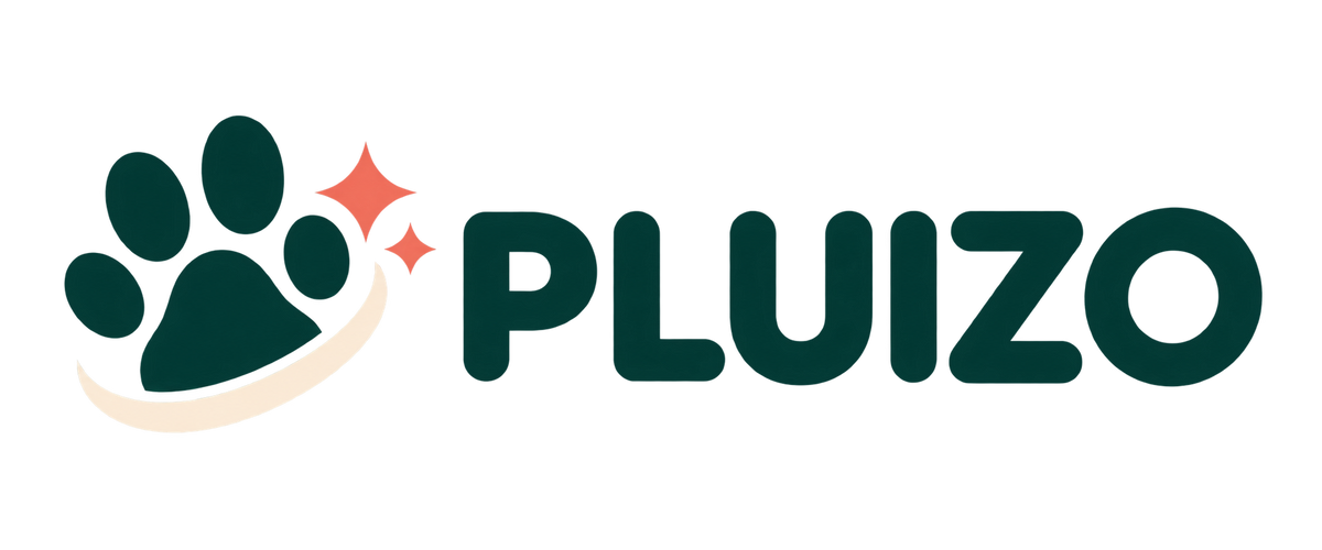 Pluizo